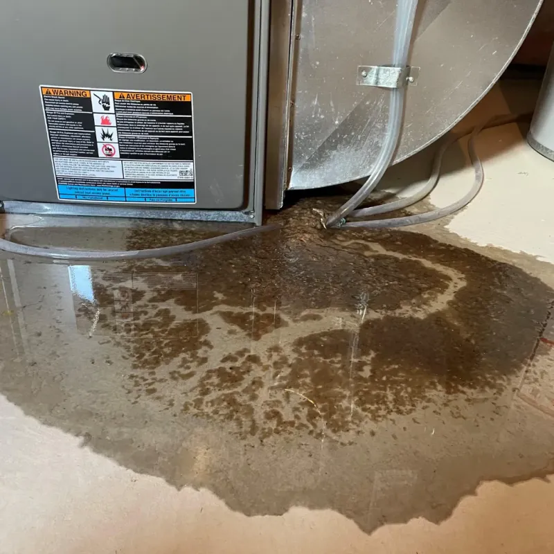 Appliance Leak Cleanup in Howard County, IN